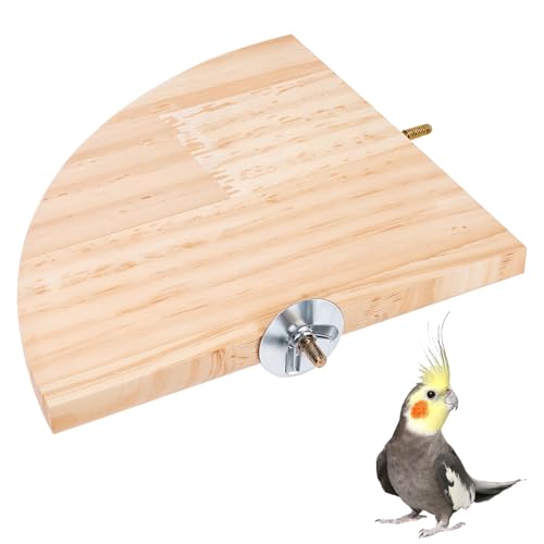 Vogelsitzstange Plattform Ständer Holz Papagei Sitzstange Ecke 6,7 Zoll Fächerform Spielplatz Käfig Zubehör Papagei Ständer Flache Sitzstangen für Vogelkäfige Eckregal für Vögel Papageien Hamster Vogelsitzstange Plattform Ständer Holz Papagei Sitzstange Ecke 6,7 Zoll Fächerform Spielplatz Käfig Zubehör Papagei Ständer Flache Sitzstangen für Vogelkäfige Eckregal für Vögel Papageien Hamster von Trinkrittey