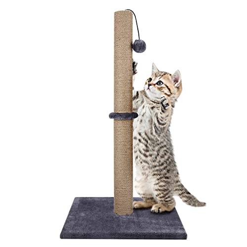 Trintion Katzenkratzbaum 74 cm Faltbarer Boden Hoher Katzenkratzbaum mit 4/1 Spielbällen Natürlicher Sisal-Kratzstab und Weicher Teppichbeschichtung Schwere Basis Modernes (Grau 1 Bälle) von Trintion