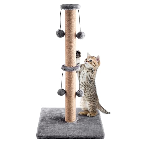 Trintion Katzenkratzbaum 74 cm Faltbarer Boden Hoher Katzenkratzbaum mit 4/1 Spielbällen Natürlicher Sisal-Kratzstab und Weicher Teppichbeschichtung Schwere Basis Modernes (Grau 4 Bälle) von Trintion