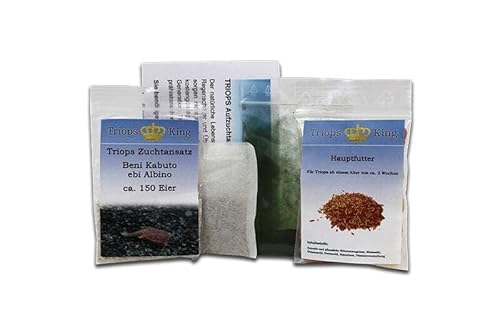 Triops Beni Kabuto ebi Albino Urzeitkrebse Starter Set Plus mit ca. 150 Urzeitkrebs-Eiern / Zysten von Triops King aus Deutschland, Anleitung zur Zucht und Jungtier-Futter und Hauptfutter - Züchte deine eigenen Urzeitkrebse bei dir zu Hause im Aquarium von Triops King