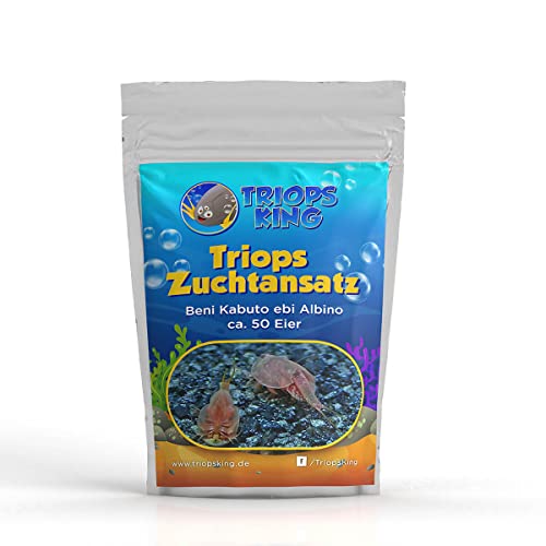 Triops King Triops Beni Kabuto EBI Albino Urzeitkrebse Zuchtansatz mit Urzeitkrebs-Eiern/Zysten Deutschland - Züchte Deine eigenen Urzeitkrebse bei dir zu Hause im Aquarium (50 Eier) von Triops King