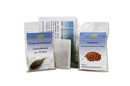 Triops Cancriformis Urzeitkrebse Starter Set Plus mit ca 150 Urzeitkrebs-Eiern / Zysten von Triops King aus Deutschland, Anleitung zur Zucht und Jungtier-Futter und Hauptfutter - Züchte jetzt deine eigenen Urzeitkrebse Triops Cancriformis Urzeitkrebse Starter Set Plus mit ca 150 Urzeitkrebs-Eiern / Zysten von Triops King aus Deutschland, Anleitung zur Zucht und Jungtier-Futter und Hauptfutter - Züchte jetzt deine eigenen Urzeitkrebse von Triops King