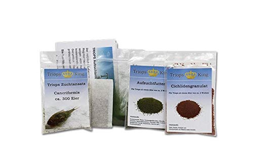 Triops Cancriformis Urzeitkrebse Starter Set Ultra mit ca. 150 Urzeitkrebs-Eiern / Zysten von Triops King aus Deutschland, Anleitung zur Zucht und Jungtier-Futter und viel Futter - Züchte jetzt deine eigenen Urzeitkrebse Triops Cancriformis Urzeitkrebse Starter Set Ultra mit ca. 150 Urzeitkrebs-Eiern / Zysten von Triops King aus Deutschland, Anleitung zur Zucht und Jungtier-Futter und viel Futter - Züchte jetzt deine eigenen Urzeitkrebse von Triops King