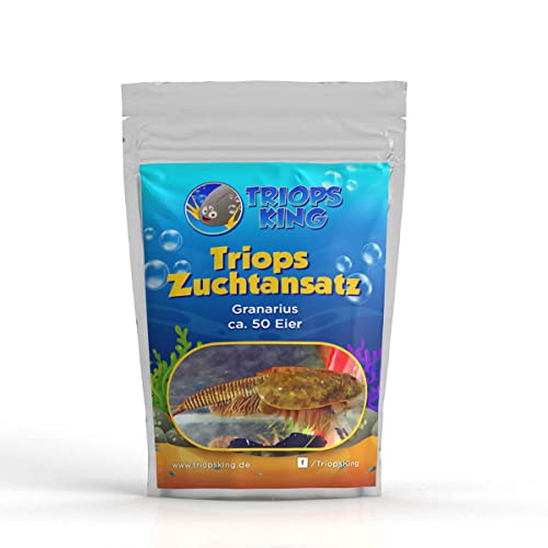 Triops Granarius Zuchtansatz 50 Eier von Triops King