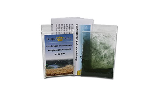 Triops King Feenkrebse Streptocephalus sealii Urzeitkrebse Starter Set 50 Eier Deutsch von Triops King