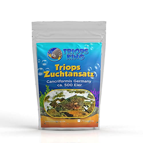 Triops King Triops Cancriformis Germany Zuchtansatz mit ca. 500 Urzeitkrebs-Eiern/Zysten Deutschland - Züchte Deine eigenen Urzeitkrebse bei dir zu Hause im Aquarium Triops King Triops Cancriformis Germany Zuchtansatz mit ca. 500 Urzeitkrebs-Eiern/Zysten Deutschland - Züchte Deine eigenen Urzeitkrebse bei dir zu Hause im Aquarium von Triops King