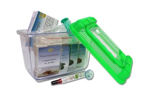 Triops King Urzeitkrebse Einsteiger Set II 300 Eier und einem grünen Deckel - Inkl. Futter, Anleitung, Sand, Thermometer, Triopseiern der Art Longicaudatus und vielem mehr von Triops King