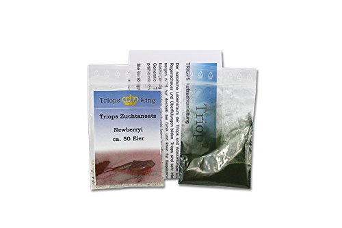 Triops Newberryi Urzeitkrebse Starter Set ca. 50 Eier Deutsch von Triops King