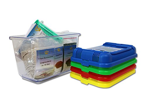Urzeitkrebse Einsteiger Set I von Triops King mit 50 Eier und einem roten Deckel - Inkl. Aufzuchtbecken, Futter, Anleitung, Sand, Triopseiern der Art Longicaudatus und Reinigungsspritze Urzeitkrebse Einsteiger Set I von Triops King mit 50 Eier und einem roten Deckel - Inkl. Aufzuchtbecken, Futter, Anleitung, Sand, Triopseiern der Art Longicaudatus und Reinigungsspritze von Triops King