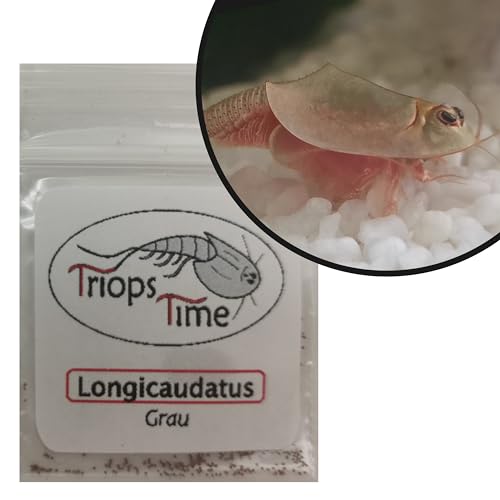 Triops Longicaudatus Grau (Urzeitkrebse) - Eier von Hand abgezählt mit Futter und Anleitung für eine artgerechte Haltung von Triops (100 Eier) von Triops Time