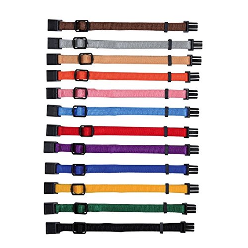 Trixie 1555 12 Welpenhalsbänder, S-M: 17-25 cm/10 mm Trixie 1555 12 Welpenhalsbänder, S-M: 17-25 cm/10 mm von TRIXIE