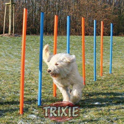 Trixie Agility Slalom Trixie Agility Slalom von Trixie