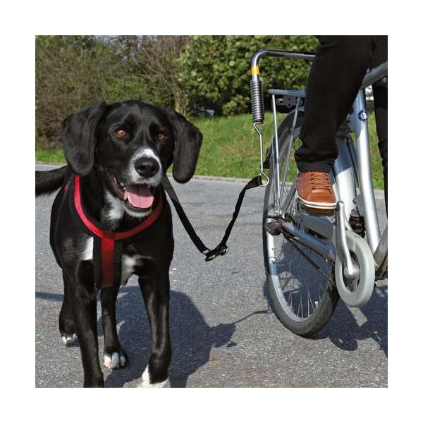 Trixie Biker-Set, Gr. S-M von Trixie