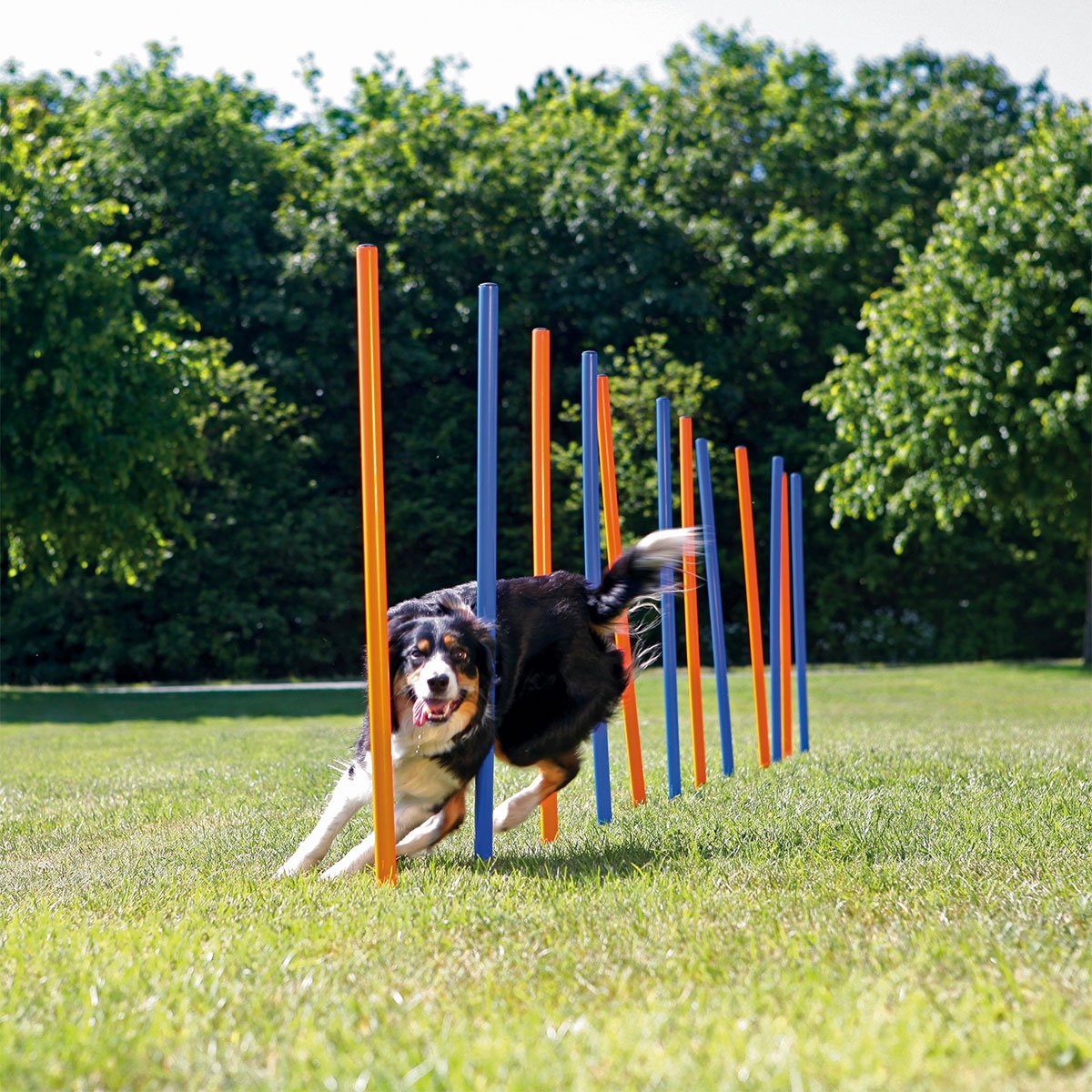 Trixie Dog Activity Agility Slalom Stangen von TRIXIE