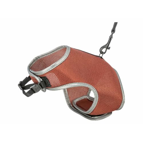 Softgeschirr, Katze, mit Leine, 28–42 cm, 1,20 m, rost Softgeschirr, Katze, mit Leine, 28–42 cm, 1,20 m, rost von TRIXIE