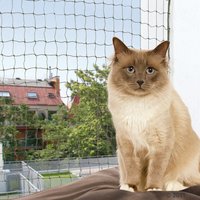 Trixie Katzenschutznetz mit Drahtverstärkung - 4 x 3 m von TRIXIE