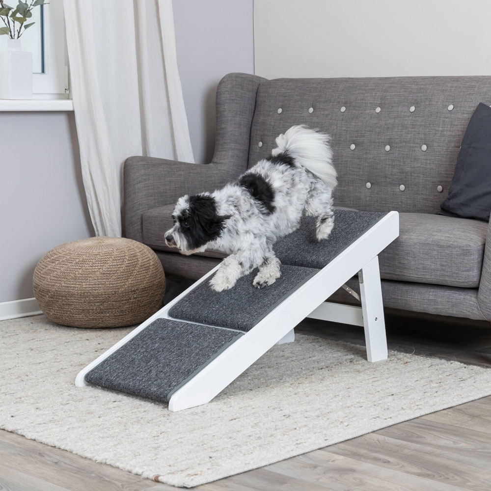 Trixie Rampe mit ausklappbaren Stufen Trixie Rampe mit ausklappbaren Stufen von Trixie