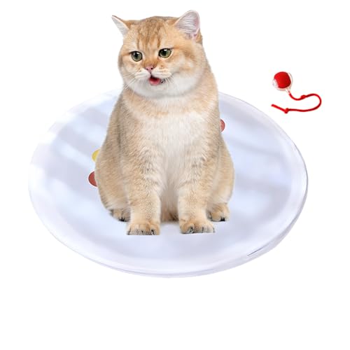 Trochate Katzen Jagdspielzeug,Bewegungsaktivierte Katzenkugel Mit Spielmatte - Fangspiel Mit Versteckmöglichkeit Für Interaktives Spiel, Training Und Jagdsimulation Trochate Katzen Jagdspielzeug,Bewegungsaktivierte Katzenkugel Mit Spielmatte - Fangspiel Mit Versteckmöglichkeit Für Interaktives Spiel, Training Und Jagdsimulation von Trochate