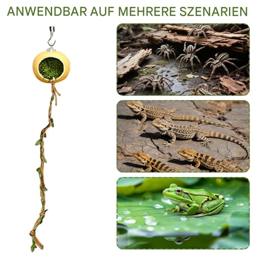 Trochate Versteckdekoration Für Springspinnen Terrarium, Versteck Unterschlupf für Springspinnen, Terrarien Habitat Verstecke Zubehör Für Reptilien Glattechsen Gliederfüßer von Trochate