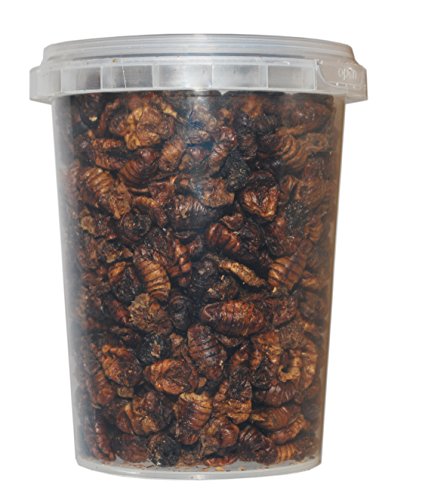 500 ml Seidenraupenpuppen/Silkworm gefriergetrocknet gefriergetrocknete/getrocknet | Reptilienfutter, Schildkrötenfutter, Futtertiere Igelfutter Vogelfutter/Seidenraupen Koifutter Fischfutter von TropicShop