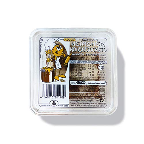 Heimchen Gross in der Dose Verpackt - Portion ca. 35-40 Stück - Reptilienfutter von Tropic-Shop