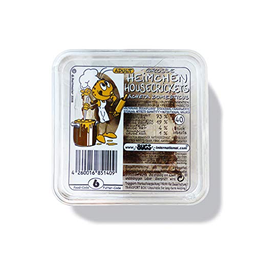 Heimchen Gross in der Dose Verpackt - Portion ca. 35-40 Stück - Reptilienfutter Heimchen Gross in der Dose Verpackt - Portion ca. 35-40 Stück - Reptilienfutter von Tropic-Shop