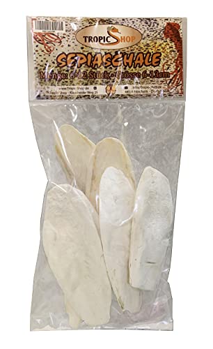 Tropic Shop, Sepia-Schalen-Pack, 6-12 Stück 100% Reine Sepiaschale, Gesundheitsfördernde Mineralien, Kalziumversorgung, Premium Pflege & Aufbau für Reptilien und Vögel von TropicShop