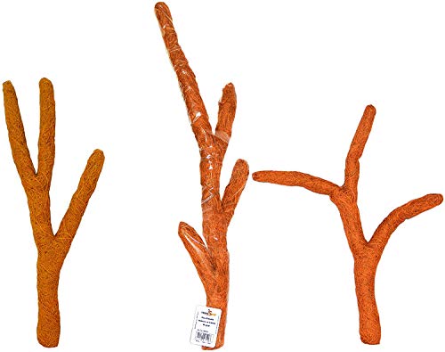 TropicShop CocoTroncho/Kokosnuss Stamm - Biegbare Kletterstamm für Terrarien - Rankhilfe für Kletterpflanzen (120cm) von TropicShop