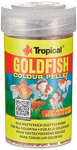 Essen für Fische Goldfish 100 ml Mahlzeiten Fische essen Fische Aquarium Goldfischglas Essen für Fische Goldfish 100 ml Mahlzeiten Fische essen Fische Aquarium Goldfischglas von Tropical