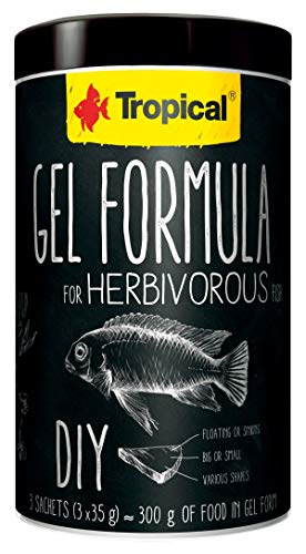 SUPER Aquarium LTD Tropische Gel-Formel für pflanzenfressende Fische mit hohem Algengehalt 36% Bodenfischfutter, Malawi (1000 ml/300 g Dose) von Tropical
