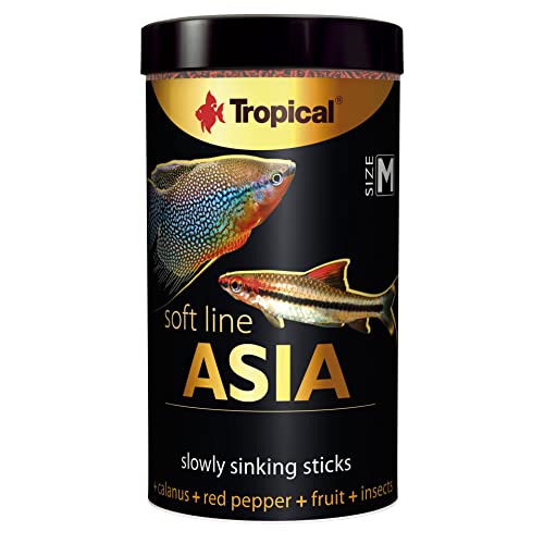 Soft Line Asia Size M 250ml von Tropical