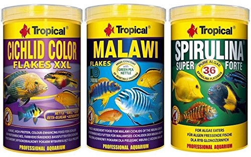 Tropical 1 Liter Spirulina Forte 36% + 1 Liter Malawi Flocken + 1 Liter Cichlid Color Flakes 3 er Set Fischfutter von Tropical