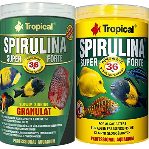 Tropical 1 Liter Spirulina Forte 36% + 1 Liter Spirulina Gran 36% Doppelpack 2 er Set Cichlid Malawi Fischfutter Tropical 1 Liter Spirulina Forte 36% + 1 Liter Spirulina Gran 36% Doppelpack 2 er Set Cichlid Malawi Fischfutter von Tropical