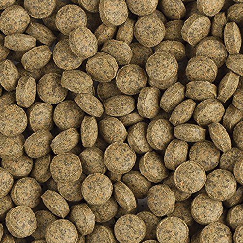 Tropical BL Vege Tablet B Pflanzenfutter Hafttabletten, 1er Pack (1 x 1 kg) von Tropical