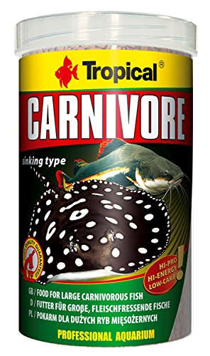 Tropical Carnivore,1000 ml von Tropical