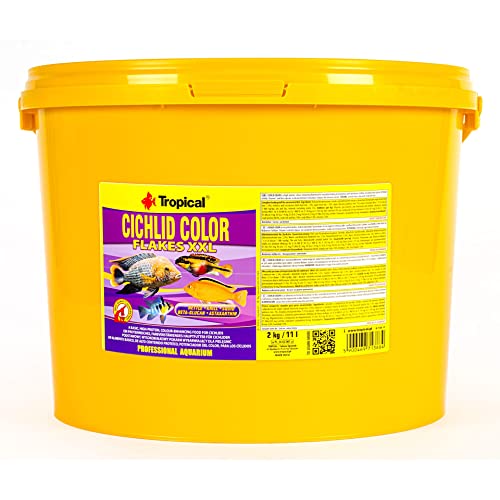 Tropical Cichlid Color Flakes - farbverstärkendes Flockenfutter mit Beta-Glucan, 1er Pack (1 x 11 l) von Tropical