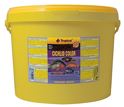 Tropical Cichlid Color Flakes - farbverstärkendes Flockenfutter mit Beta-Glucan, 1er Pack (1 x 11 l) von Tropical