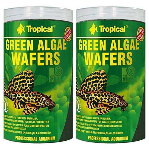 Tropical Doppelpack 2 x 1000 ml Green Algae Wafers Welschips Pleco Futtertabletten von Tropical