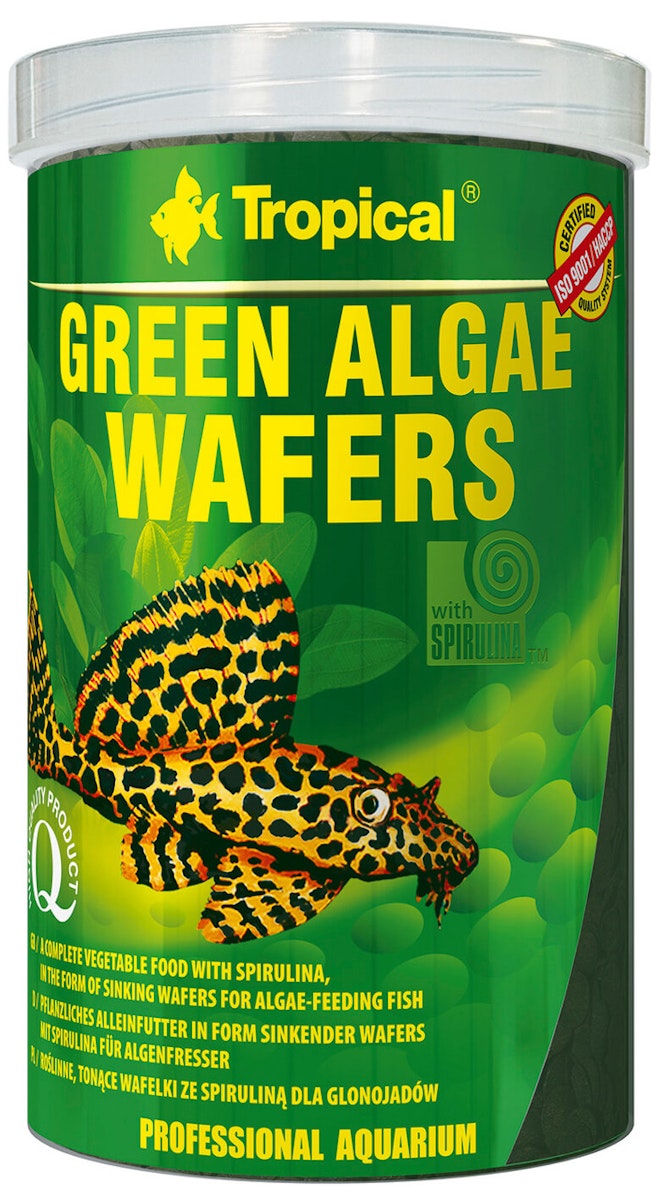Tropical Green Algae Wafers Fischfutter von Tropical