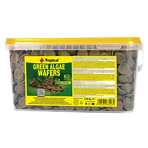 Tropical Fischfutter-Wafer, Algen-Geschmack, für Fische, 1er Pack (1 x 5 l) von Tropical