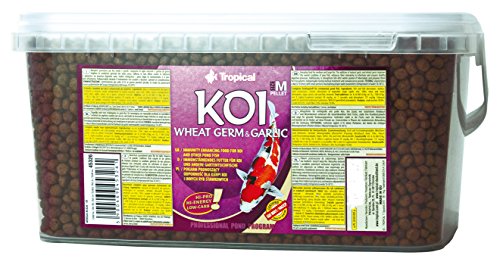 Tropical Koi Wheat Germ und Garlic Medium Pellet, M, 1er Pack (1 x 5 l) von Tropical