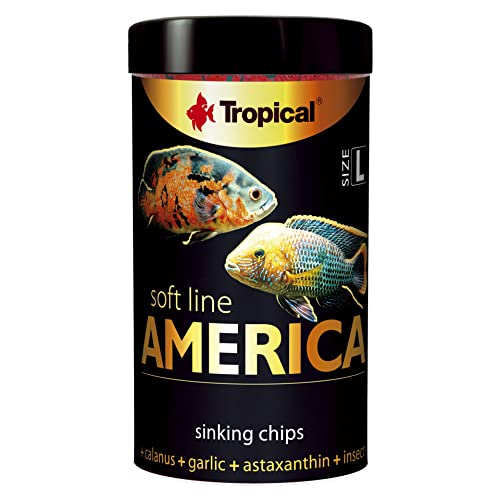 Tropical Soft Line America Size L, 1er Pack (1 x 52 g) von Tropical