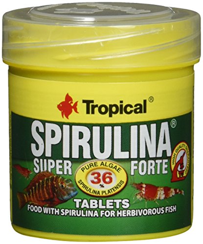 Tropical Super Spiru Tabin A Hafttabletten mit 36% Spirulina (platensis) Algen, 1er Pack (1 x 50 ml) von Tropical