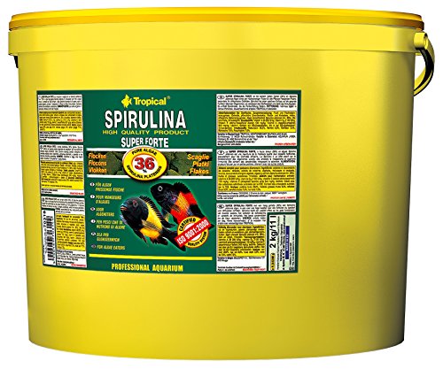 Tropical Super Spirulina Forte Flockenfutter mit 36% Spirulina (Platensis) Anteil, 1er Pack (1 x 11 l) von Tropical