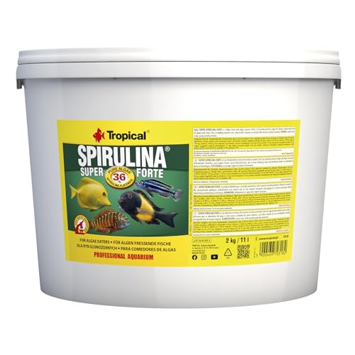 Tropical Super Spirulina Forte Flockenfutter mit 36% Spirulina (Platensis) Anteil, 1er Pack (1 x 11 l) von Tropical