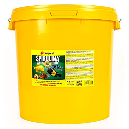 Tropical Super Spirulina Forte Flockenfutter mit 36% Spirulina (Platensis) Anteil, 1er Pack (1 x 21 l) von Tropical