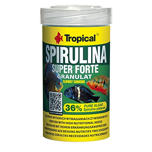 Tropical Super Spirulina Forte Granulatfutter mit 36% Spirulina (Platensis) Anteil, 1er Pack (1 x 100 ml) von Tropical