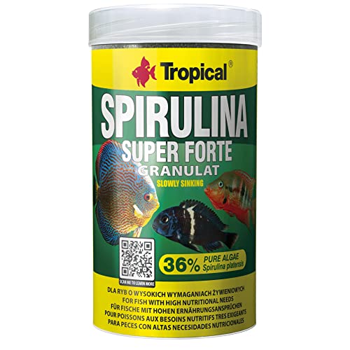 Tropical Super Spirulina Forte Granulatfutter mit 36% Spirulina (Platensis) Anteil, 1er Pack (1 x 250 ml) von Tropical