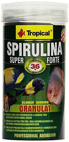 Tropical Super Spirulina Forte Granulatfutter mit 36% Spirulina (Platensis) Anteil, 1er Pack (1 x 250 ml) von Tropical