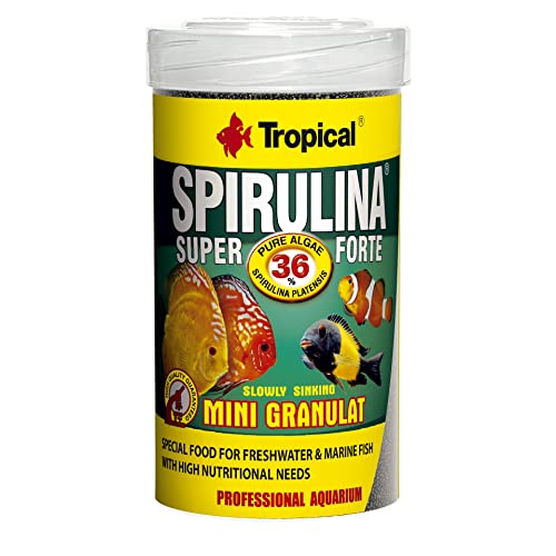 Tropical Super Spirulina Forte Mini-Granulatfutter mit 36% Spirulina (Platensis) Anteil, 1er Pack (1 x 100 ml) von Tropical